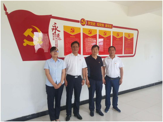 “ 看听谈查 ”板 找短板  党建巡查促提升——LD官方电竞（中国）有限公司官网集团党委开展基层党建工作巡查
