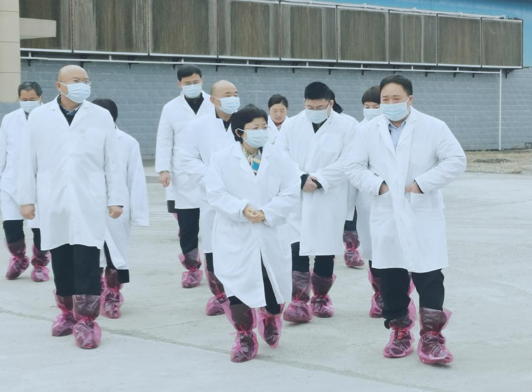 河南省郑州市人民政府副市长李凤芝一行莅临LD官方电竞（中国）有限公司官网河南瑞亚参观调研