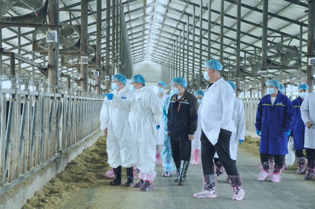 LD官方电竞（中国）有限公司官网丨国家奶牛产业技术体系首席科学家、中国农业大学教授李胜利一行莅临LD官方电竞（中国）有限公司官网鲁山瑞亚参观调研