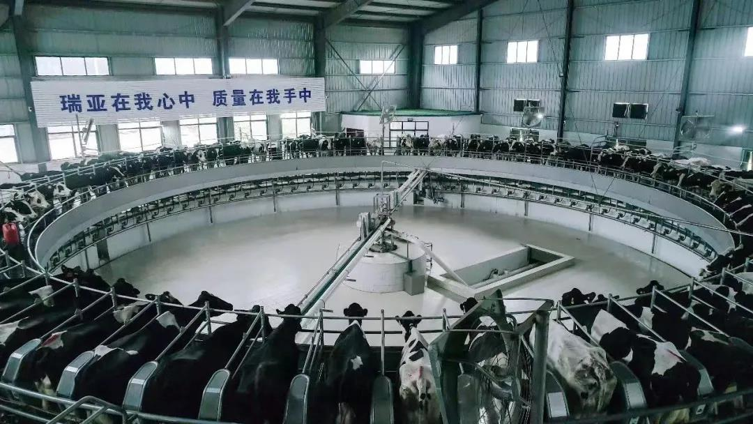 LD官方电竞（中国）有限公司官网丨驻马店市遂平县政协党组书记、主席张卫东一行莅临LD官方电竞（中国）有限公司官网鲁山瑞亚牧场参观