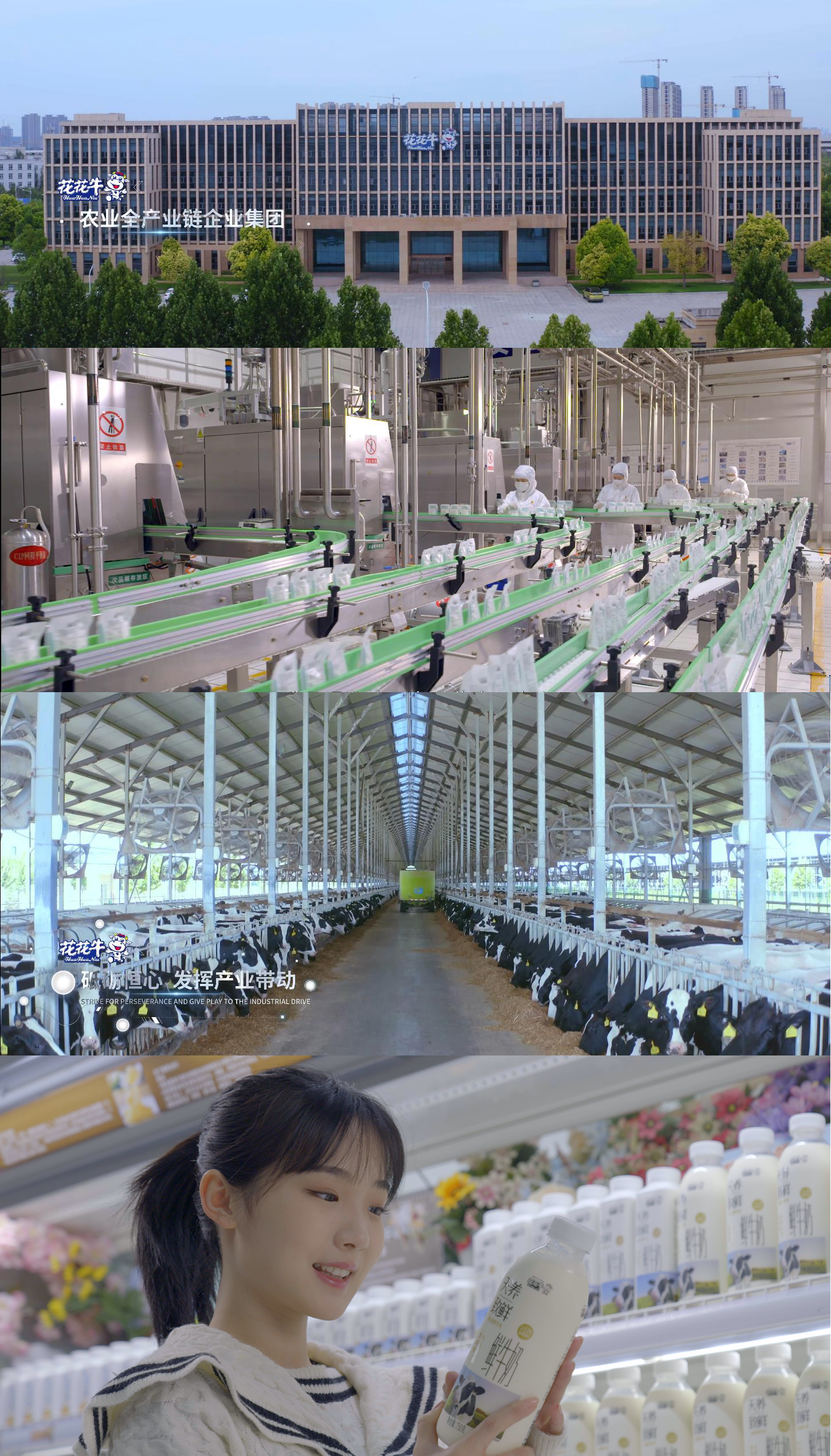 快讯 | 沈阳市政府副市长郑滨一行莅临LD官方电竞（中国）有限公司官网乳业集团考察