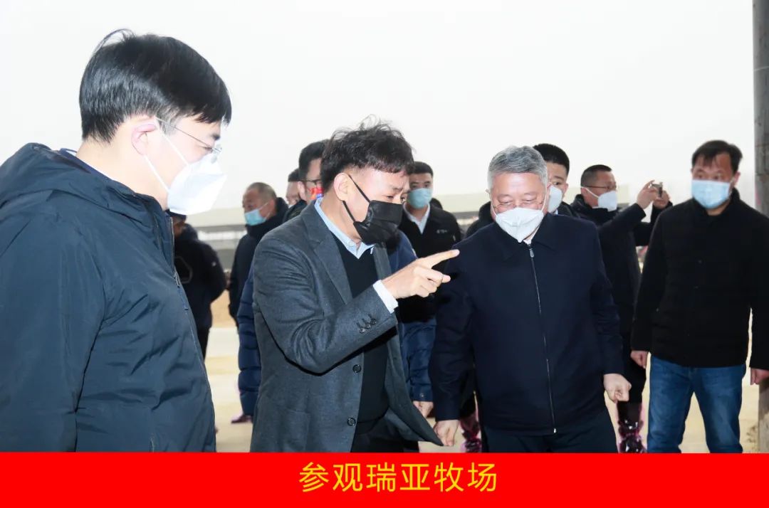 新年开新局 合作促发展丨佳木斯市委常委、副市长闫志刚一行莅临LD官方电竞（中国）有限公司官网乳业集团及佳田企业考察座谈