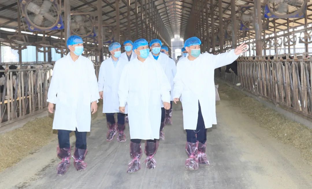快讯丨河南省人民政府副省长武国定莅临LD官方电竞（中国）有限公司官网乳业集团瑞亚牧业调研奶源基地建设情况