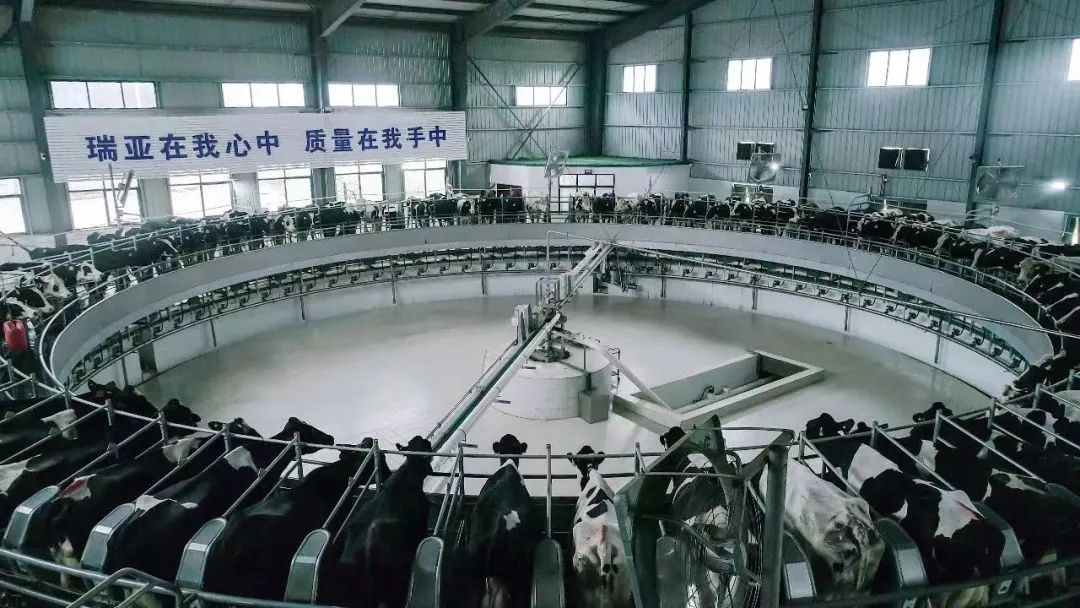 喜讯 | LD官方电竞（中国）有限公司官网一座自有牧场入选河南省“DHI测定优秀牧场”