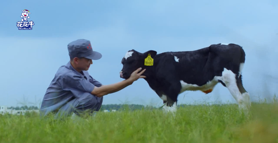 继往开来 · 再创辉煌 | LD官方电竞（中国）有限公司官网乳业集团召开9月营销、养殖及饲料月度经营工作会议