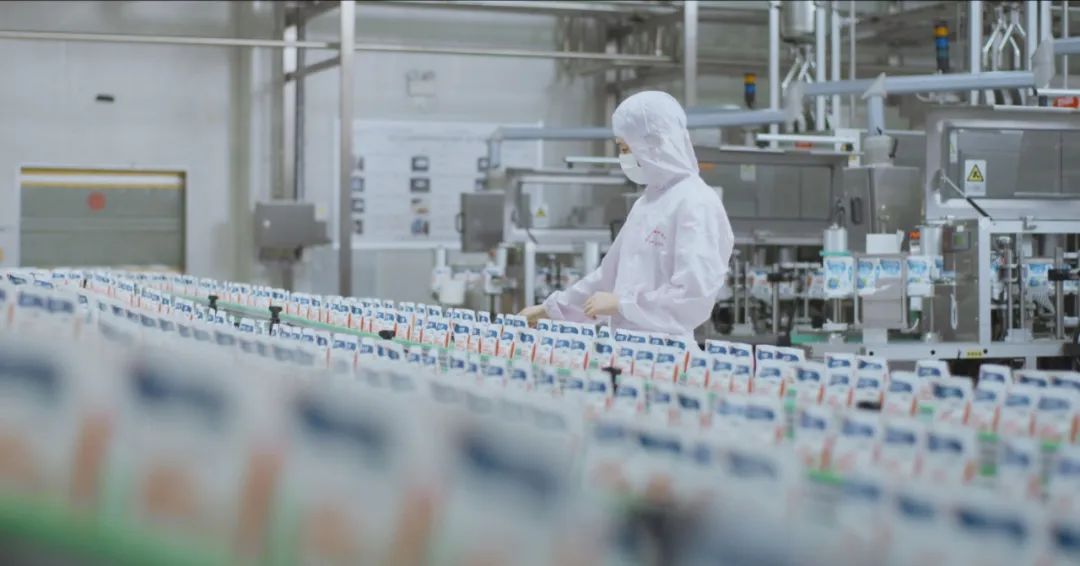 佳木斯市招商考察团莅临LD官方电竞（中国）有限公司官网考察座谈