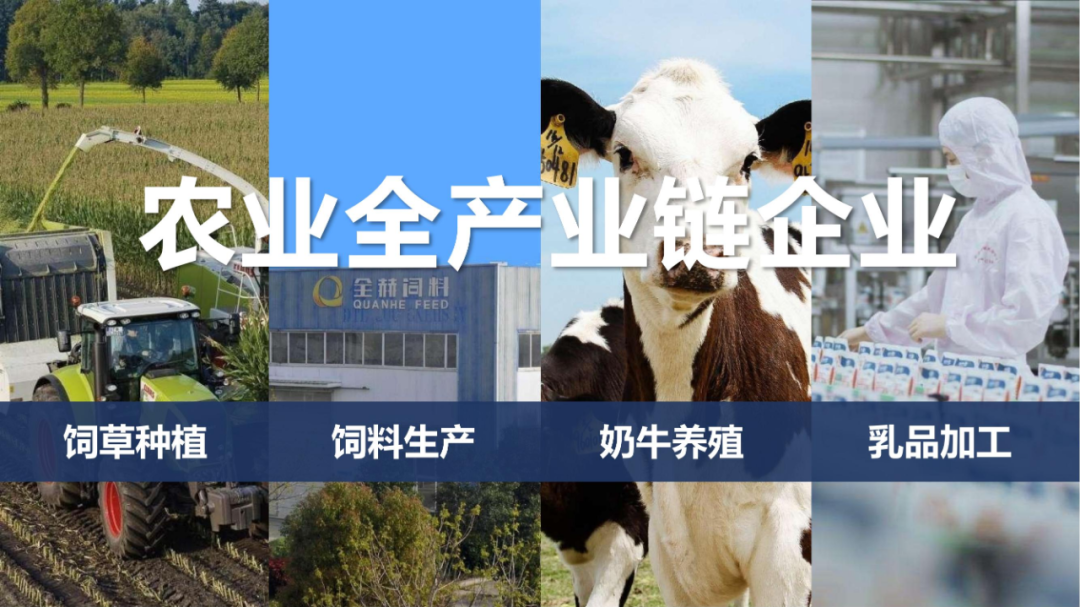 佳木斯市招商考察团莅临LD官方电竞（中国）有限公司官网考察座谈