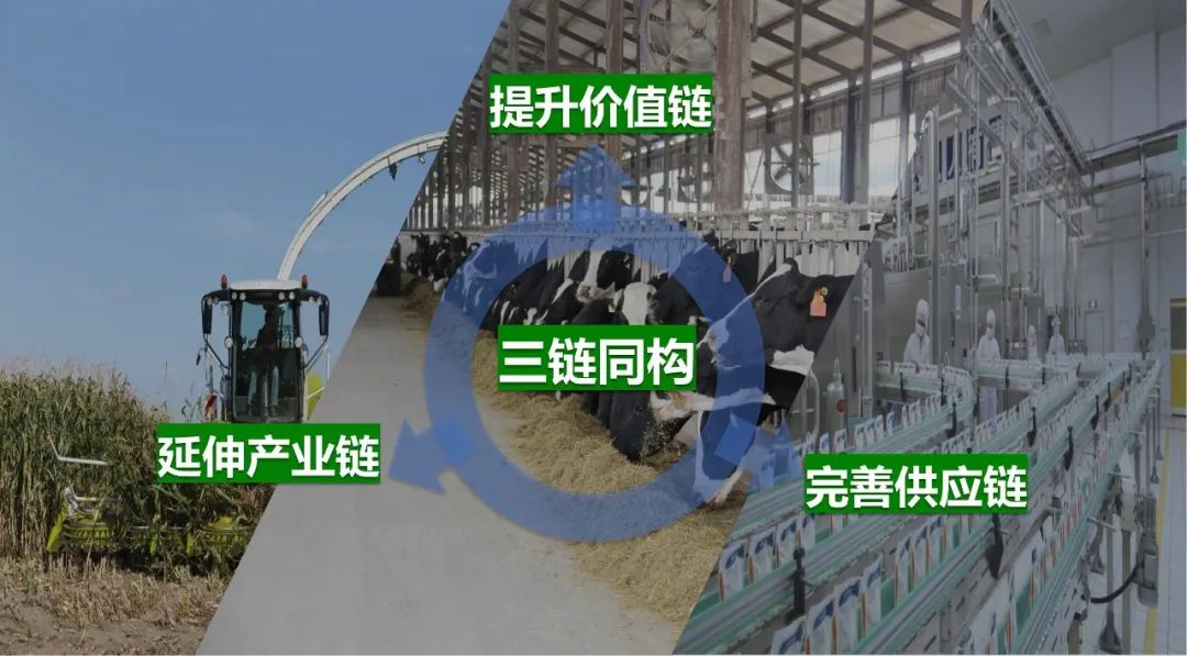 佳木斯市招商考察团莅临LD官方电竞（中国）有限公司官网考察座谈