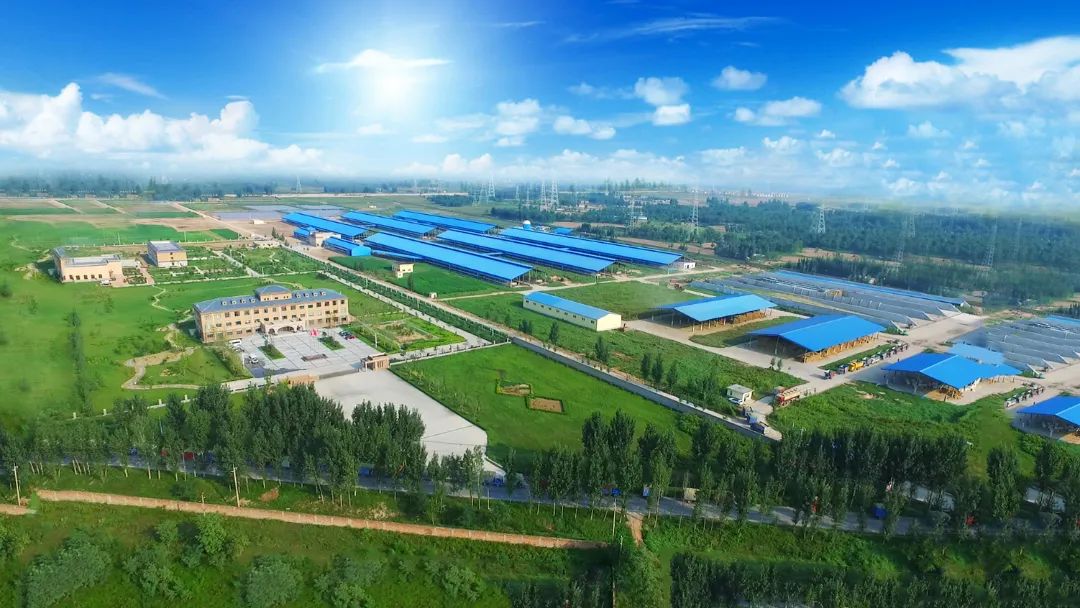 LD官方电竞（中国）有限公司官网 | 河南瑞亚牧业入选“河南省畜禽核心育种场”