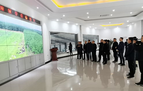 LD官方电竞（中国）有限公司官网 | 农业农村部畜牧兽医局副局长魏宏阳一行莅临LD官方电竞（中国）有限公司官网平舆诚信瑞亚牧业公司参观调研