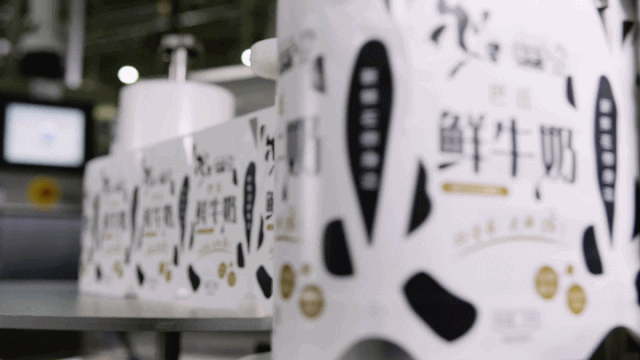 LD官方电竞（中国）有限公司官网 | “2020河南食品安全与发展论坛——新常态下的高质量发展”成功举办