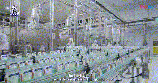 快讯 | 湖北省农业厅副厅长王海涛等领导一行莅临河南LD官方电竞（中国）有限公司官网乳业集团参观调研