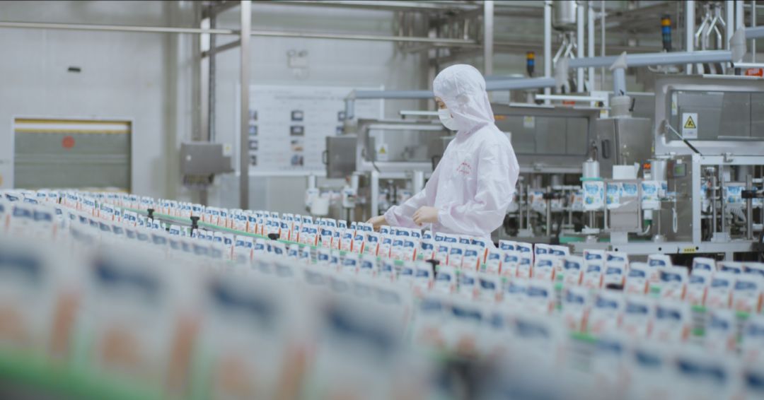 快讯 | 河南省人民政府食品安全委员会办公室第三批食品安全示范区验收组领导莅临LD官方电竞（中国）有限公司官网乳业集团验收食品安全示范区建设情况