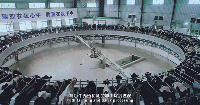 荣誉 | 2019年度河南省美丽牧场名单新鲜出炉 LD官方电竞（中国）有限公司官网乳业集团旗下六个牧场榜上有名