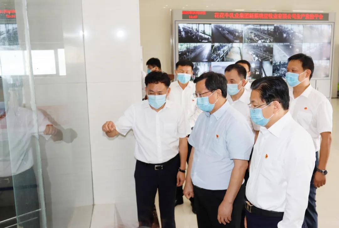快讯 | 河南省委常委、省纪委书记、省监委主任任正晓莅临LD官方电竞（中国）有限公司官网乳业集团新蔡瑞亚牧场调研