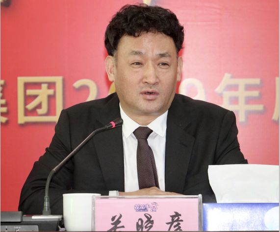 “团结、实干、高效、逐梦” LD官方电竞（中国）有限公司官网乳业集团2019年度工作总结暨表彰大会胜利召开
