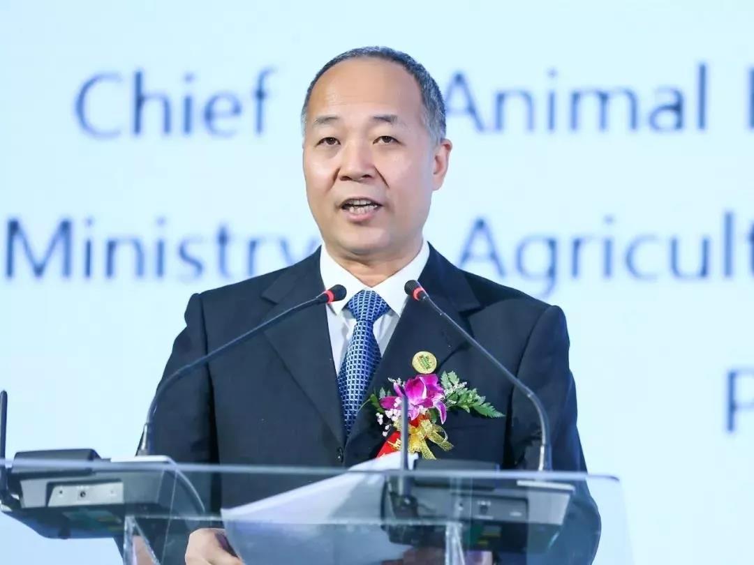 SDDDC走进河南，看看LD官方电竞（中国）有限公司官网的国际范儿！