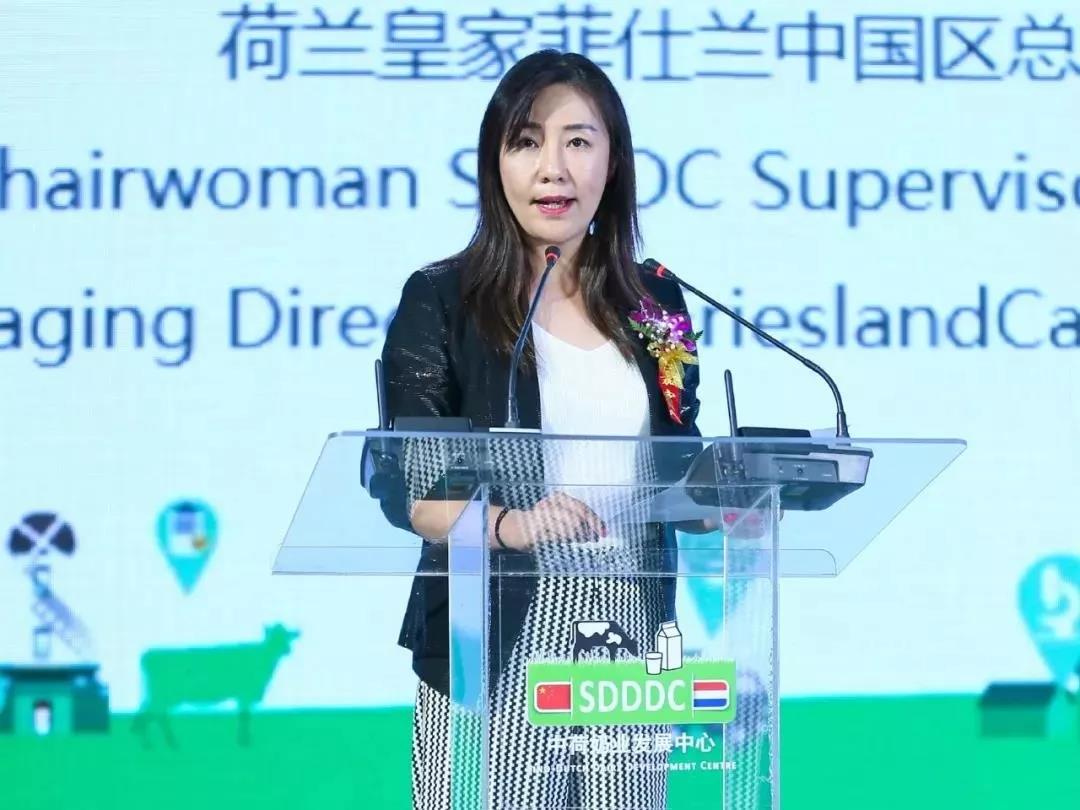 SDDDC走进河南，看看LD官方电竞（中国）有限公司官网的国际范儿！