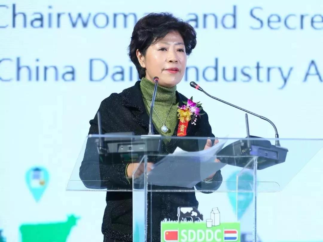 SDDDC走进河南，看看LD官方电竞（中国）有限公司官网的国际范儿！