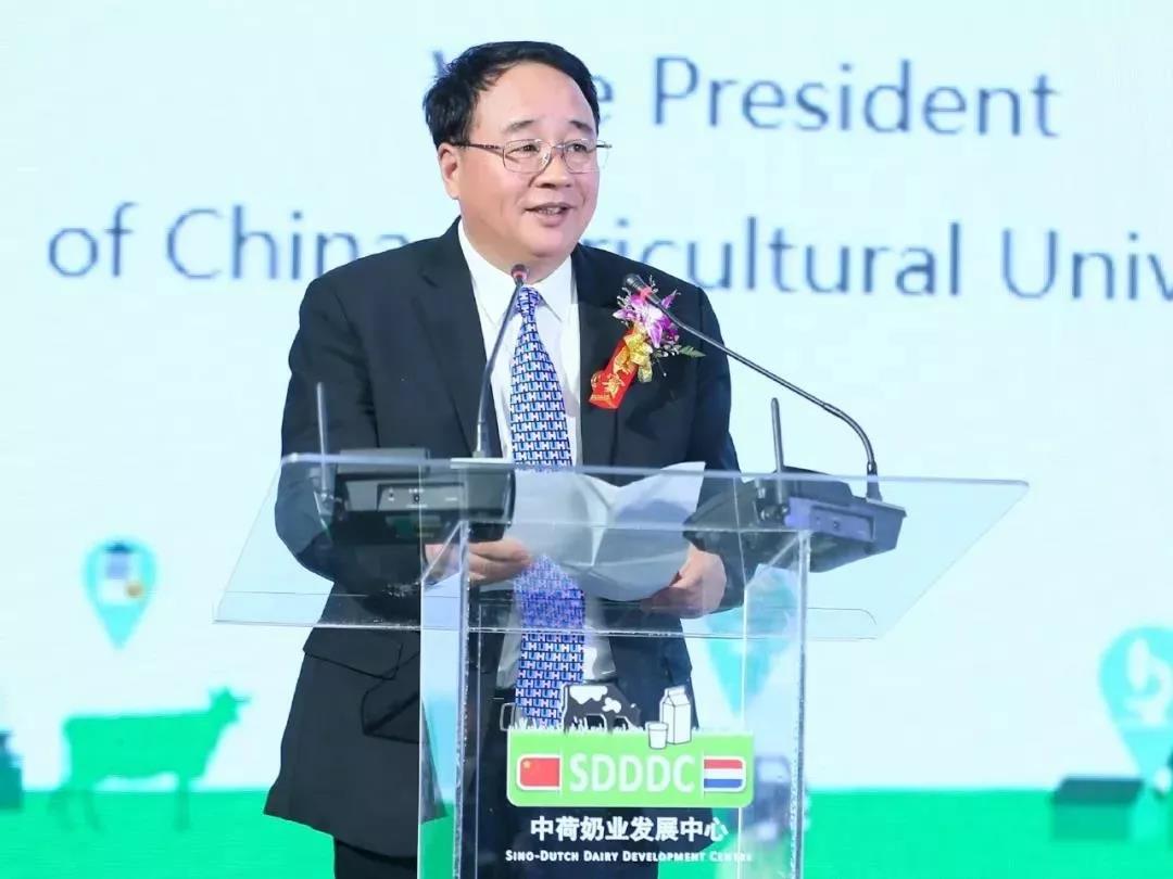 SDDDC走进河南，看看LD官方电竞（中国）有限公司官网的国际范儿！