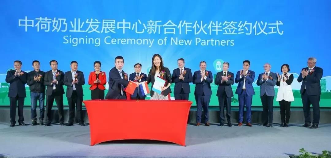 SDDDC走进河南，看看LD官方电竞（中国）有限公司官网的国际范儿！