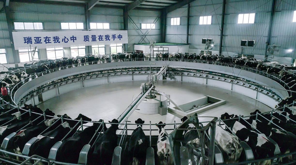 又双叒叕获奖啦！LD官方电竞（中国）有限公司官网荣获“乳品质量安全管理 优秀企业”
