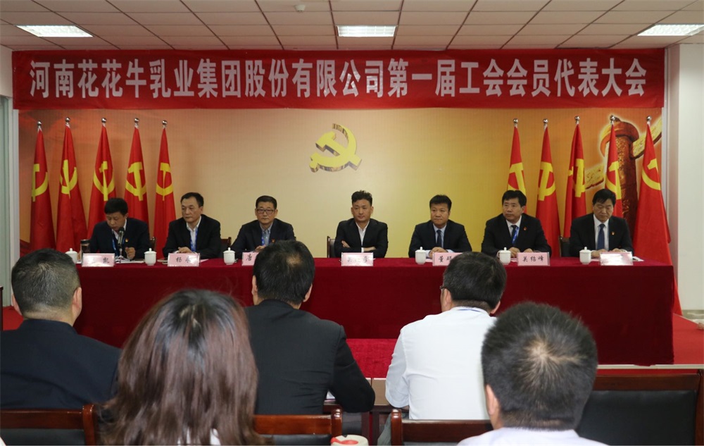 LD官方电竞（中国）有限公司官网  第一届工会会员代表大会胜利召开