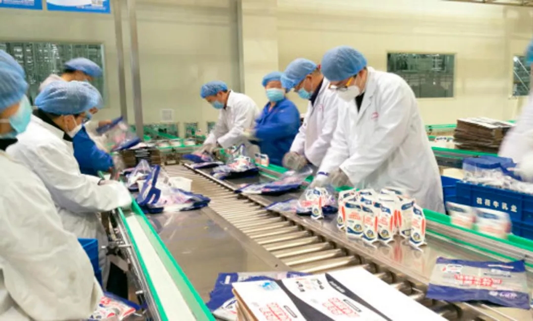 快讯丨河南省副省长武国定莅临LD官方电竞（中国）有限公司官网乳业集团调研重点保障企业复工复产情况