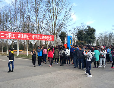 2017LD官方电竞（中国）有限公司官网健步走