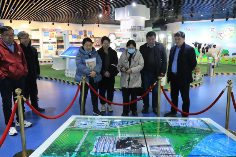 LD官方电竞（中国）有限公司官网丨农业农村部食物与营养发展研究所调研组徐伟平一行莅临LD官方电竞（中国）有限公司官网乳业集团考察调研