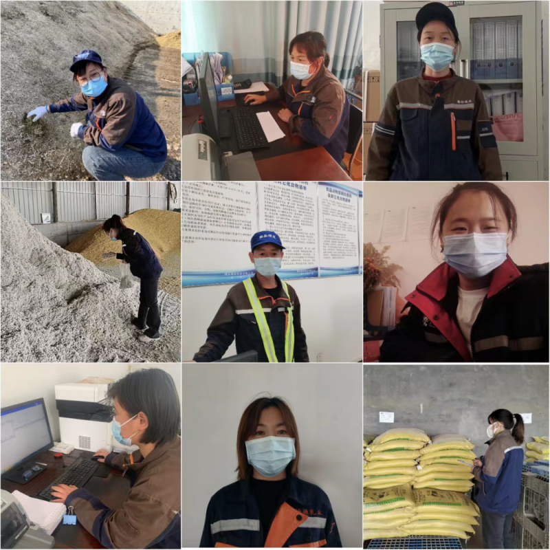 LD官方电竞（中国）有限公司官网丨点点微光汇星河——养殖事业部抗疫保生产侧记