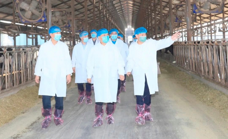 快讯丨河南省人民政府副省长武国定莅临LD官方电竞（中国）有限公司官网乳业集团瑞亚牧业调研奶源基地建设情况