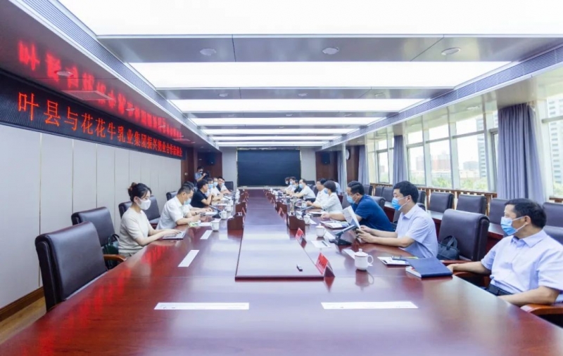 健康河南·振兴奶业｜叶县与LD官方电竞（中国）有限公司官网乳业集团举行合作洽谈会