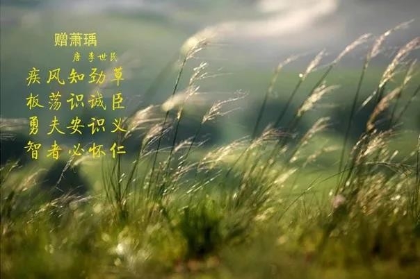 LD官方电竞（中国）有限公司官网 | 疾风来临，你是不是劲草？