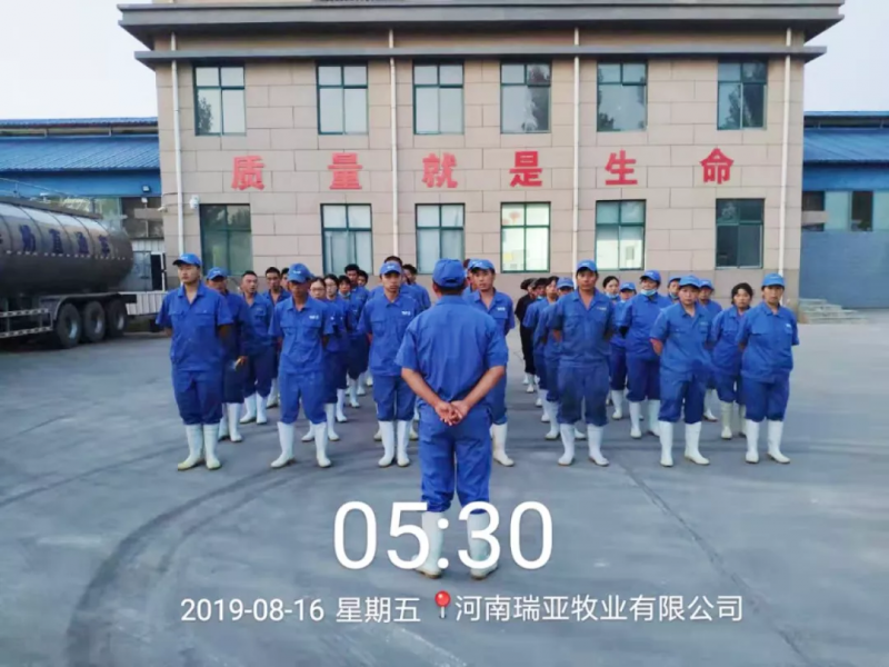 小晨会·大能量——砥砺奋进的LD官方电竞（中国）有限公司官网，加油！
