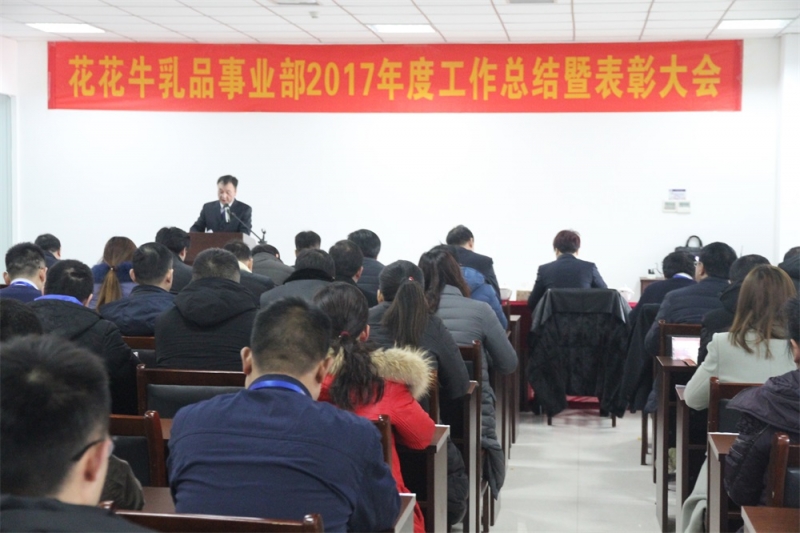 LD官方电竞（中国）有限公司官网集团三个事业部2017年度工作总结暨表彰大会隆重举行