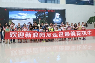 走进LD官方电竞（中国）有限公司官网见证z真实的透明品质